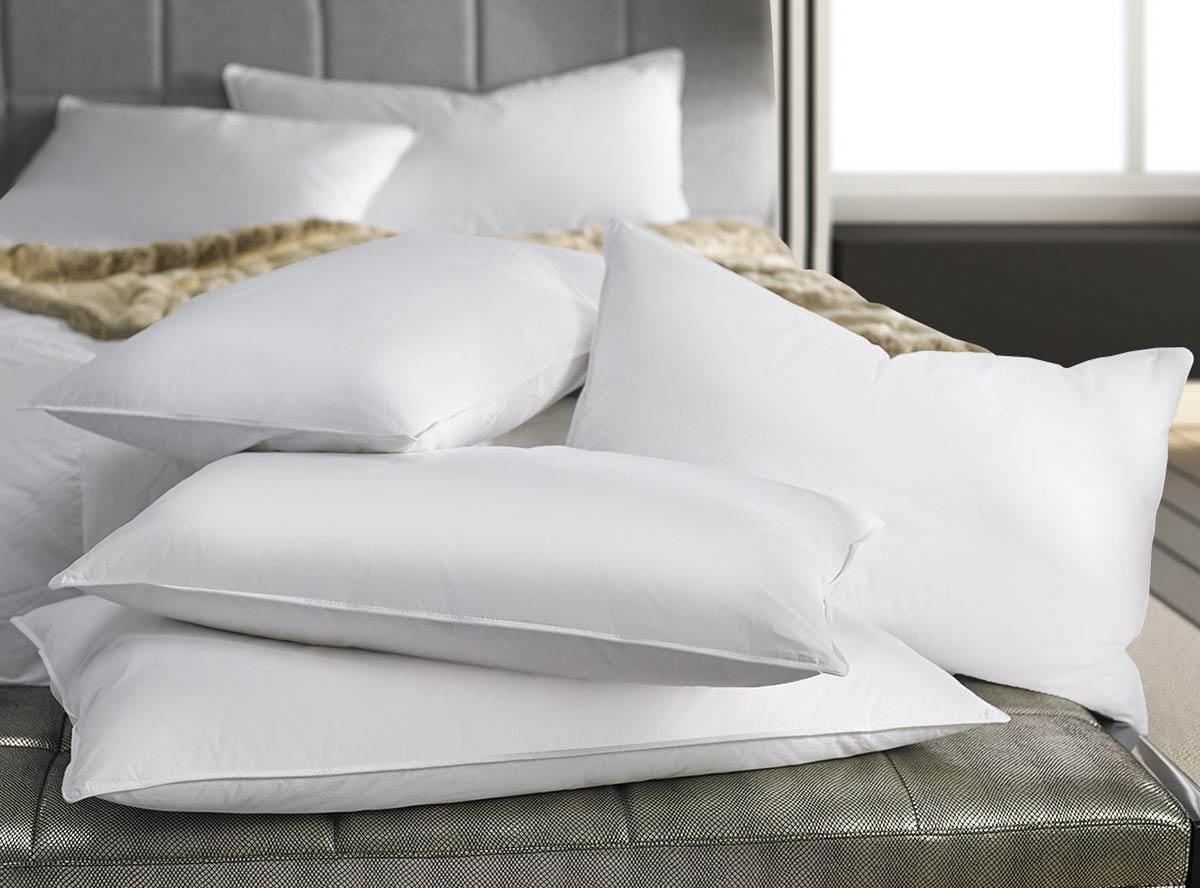 https://www.whotelsthestore.com/images/products/xlrg/w-hotels-down-pillow-WHO-108-D_xlrg.jpg